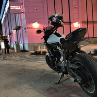 Fender Eliminator